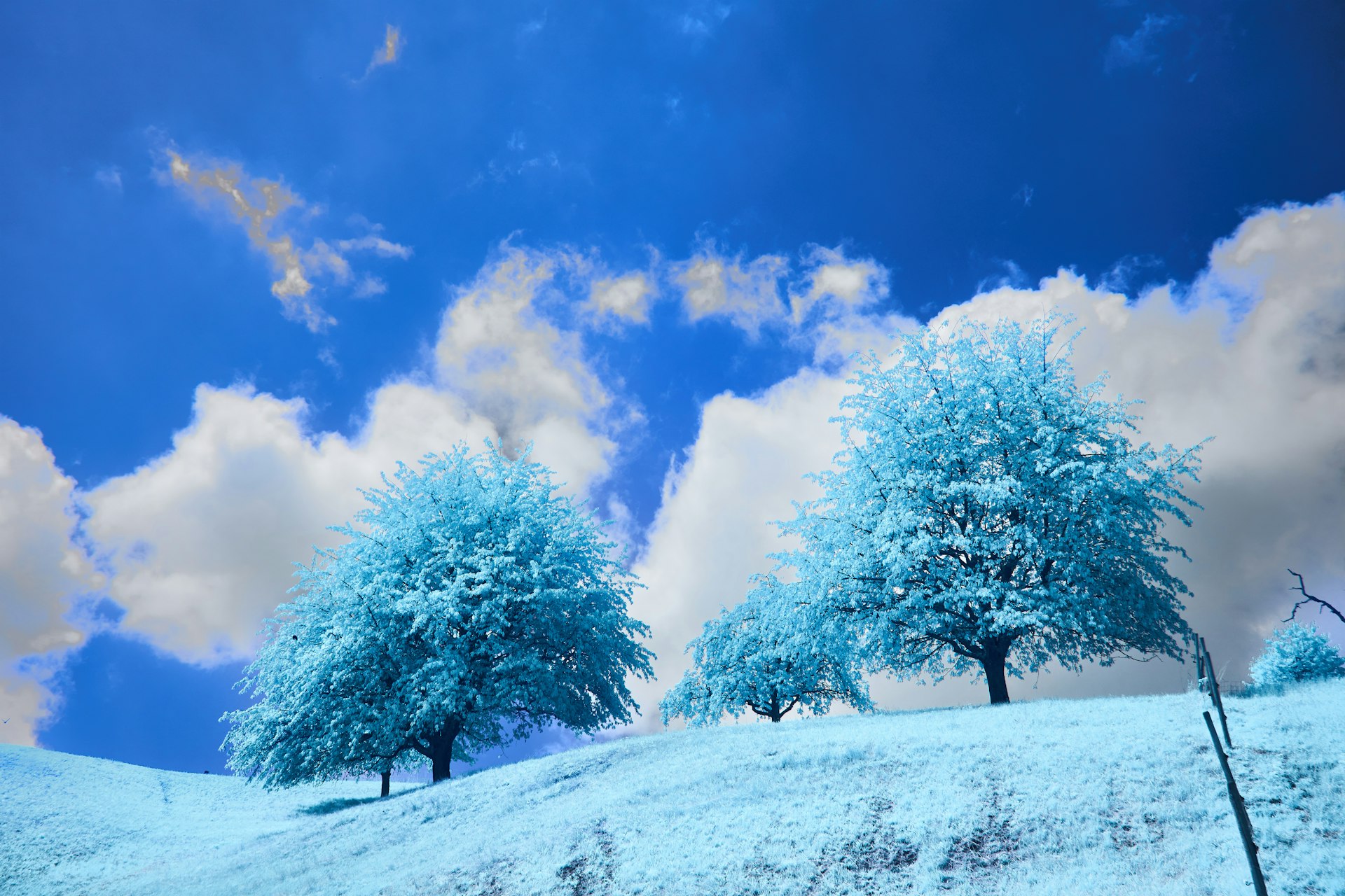 How Dynamic Weather Systems Revolutionize Video Game Immersion and Gameplay