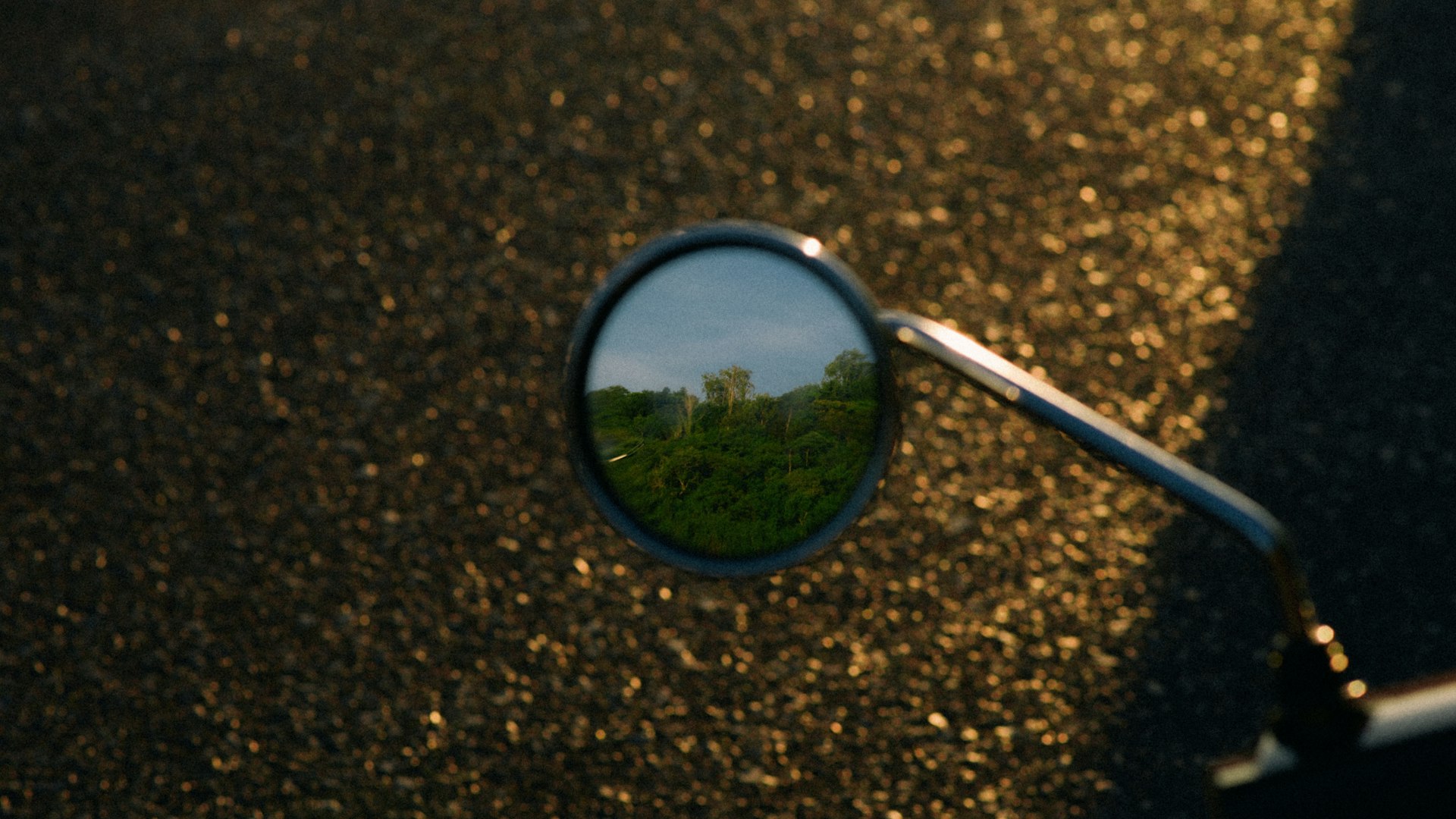Unlocking Trust and Fairness: Why Transparency in Algorithmic Decision-Making Matters